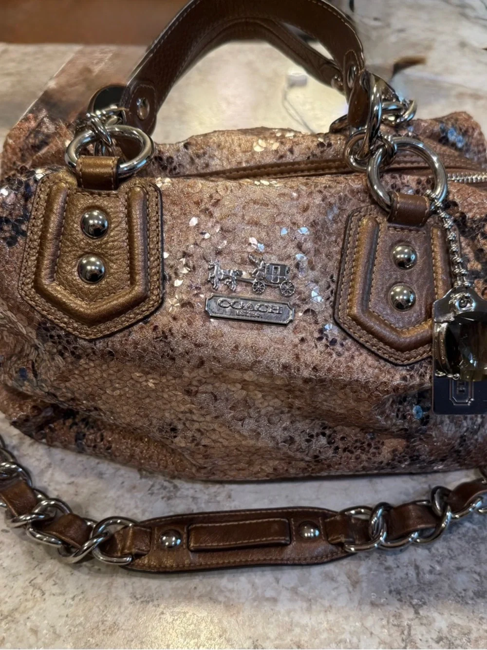Coach Bronze Sequin Satchel